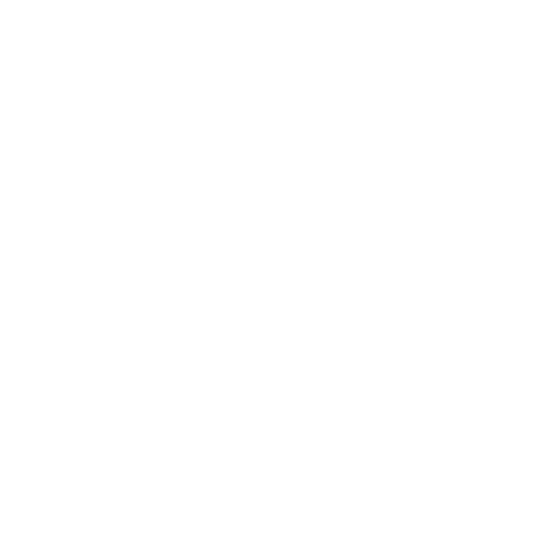 Dron video